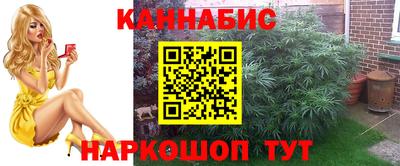 мдпв Ижевск