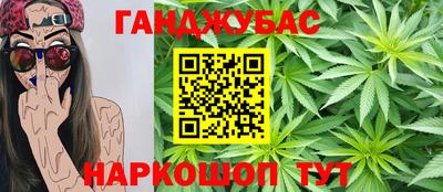 сатива Бузулук