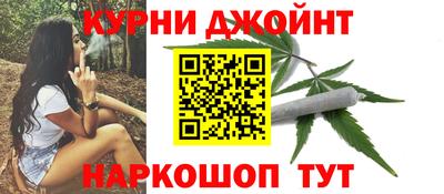 сатива Бузулук