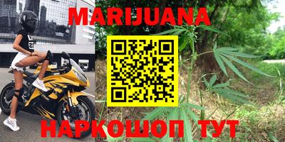 сатива Бузулук