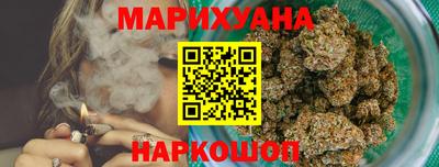 сатива Бузулук