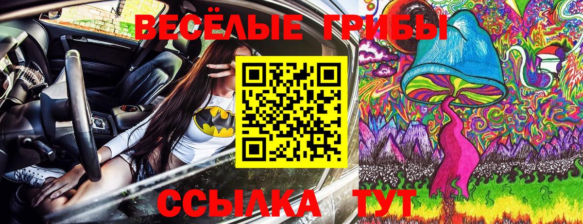 Ржев  Псилоцибиновые грибы MAGIC MUSHROOMS  Вход с VPN  Псилоцибиновые грибы ЛСД 